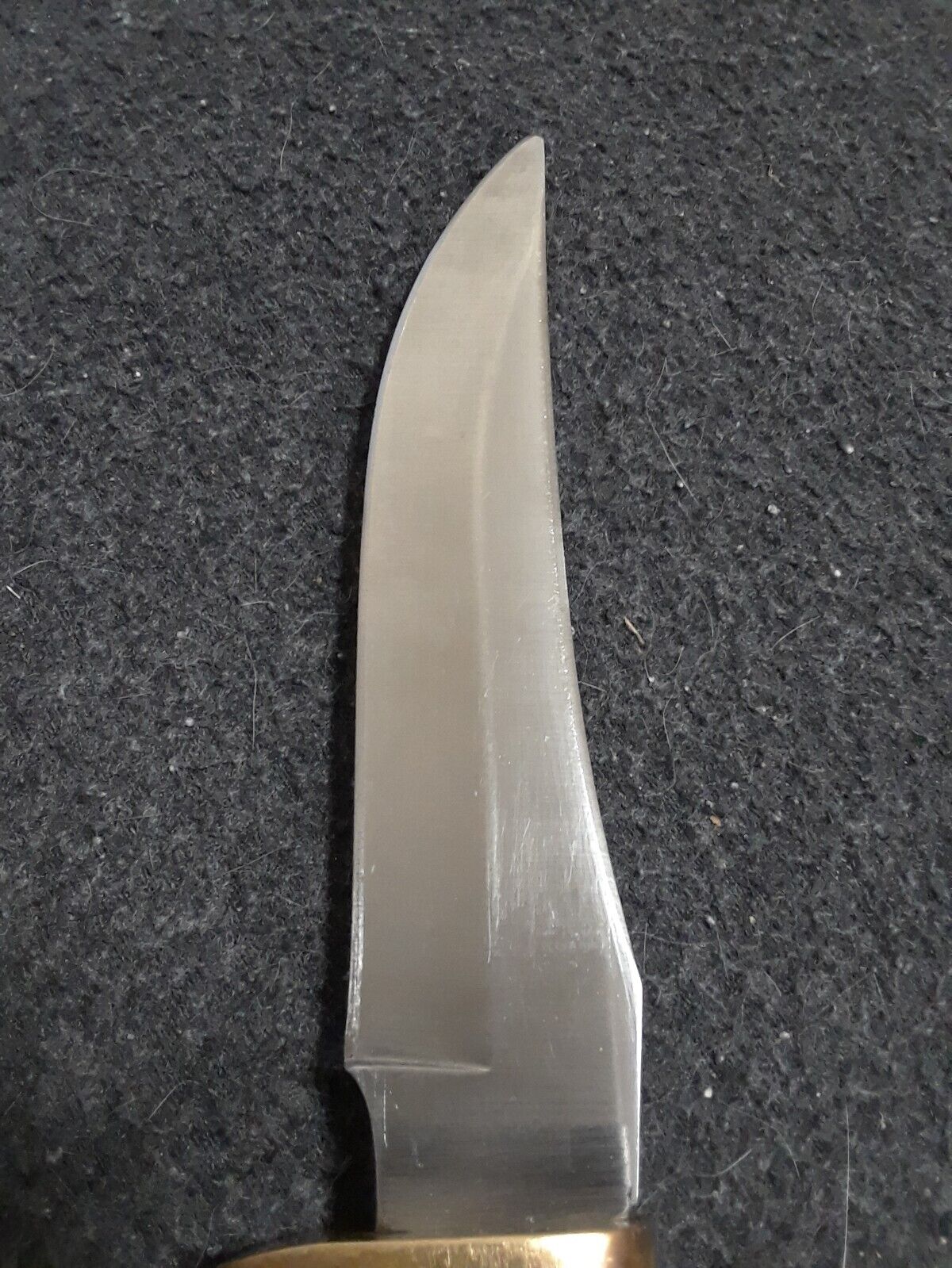 Picture 6 of 7