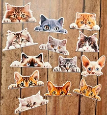 Peeking Cat Die Cut Stickers Set Laptop Sticker WaterBottle Sticker