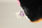 Bild 5 von 5