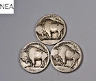 1913+1913-D+1913-S Buffalo Nickel Set/Lot ~ Type 1 ~ ZBL70