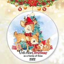 Our First Christmas as a Family of Three 2022 Christmas Tree Ornament Woodlan...