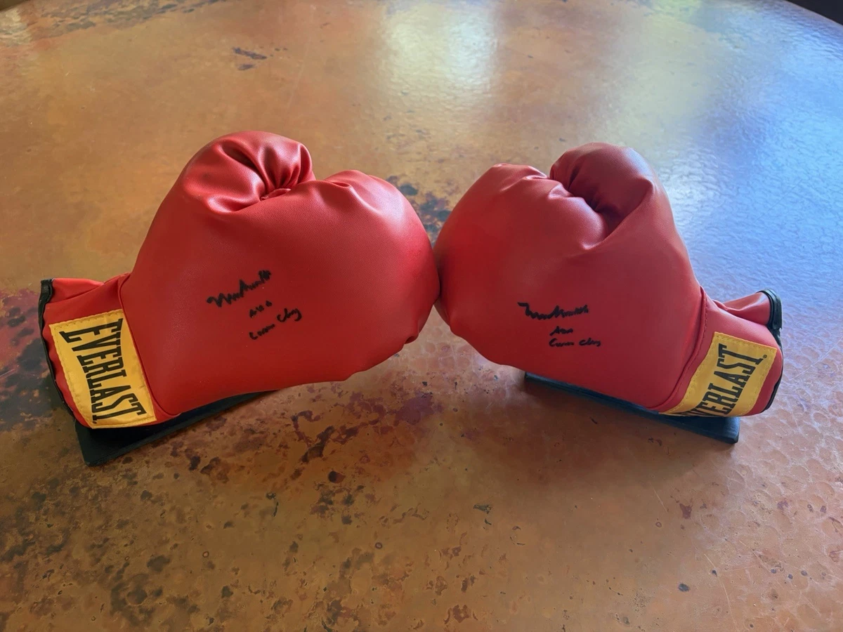 Muhammad Ali Autographed Boxing Gloves for sale | eBay