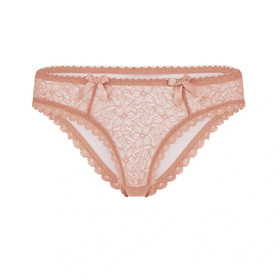 Agent Provocateur Aliza Full Brief Praline AP Size 4 New With Tags