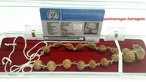 Rudraksha Siddha Mala 1 to 14 Mukhi with GouriShankar & Ganesh in Pure Silver - Picture 2 of 3