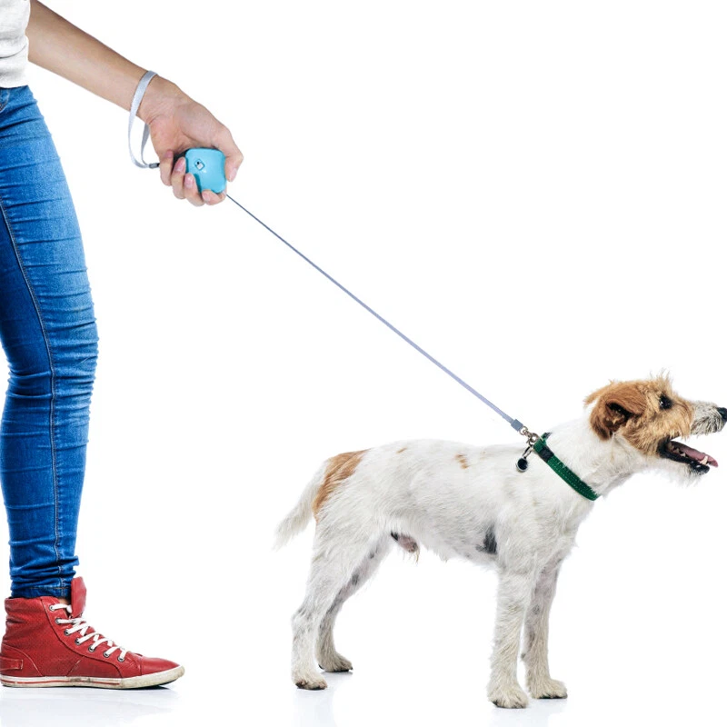 Extra small dog leash 2025
