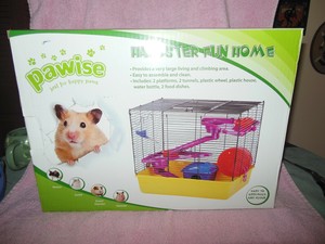 dog pulls on leash while walking