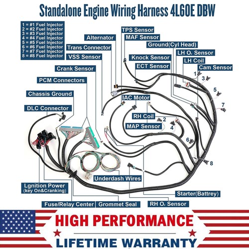 LS Swap Standalone Wiring Harness 4L60E DBW For 9704 4.8 5.3 6.0 GM LS1 Vortec eBay