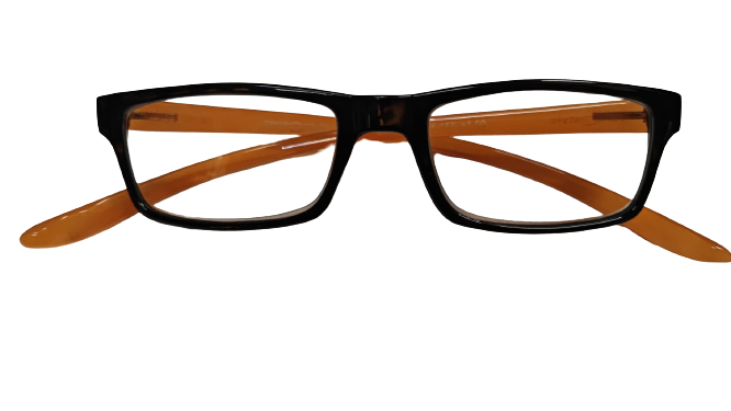 Occhiali per lettura premontati Centrostyle 68800 Reading Glasses