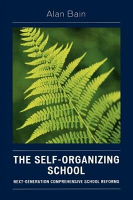 The Self-Organizing School: Next-Generation Comprehensive School Reforms by Bain