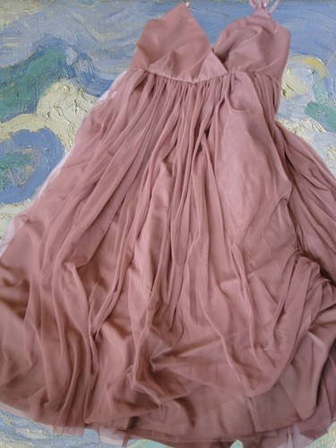 ASOS Sz 8 Mocha Tulle Ballerina Dress Fairy Romantic Goddess Vintage Style - Picture 4 of 11