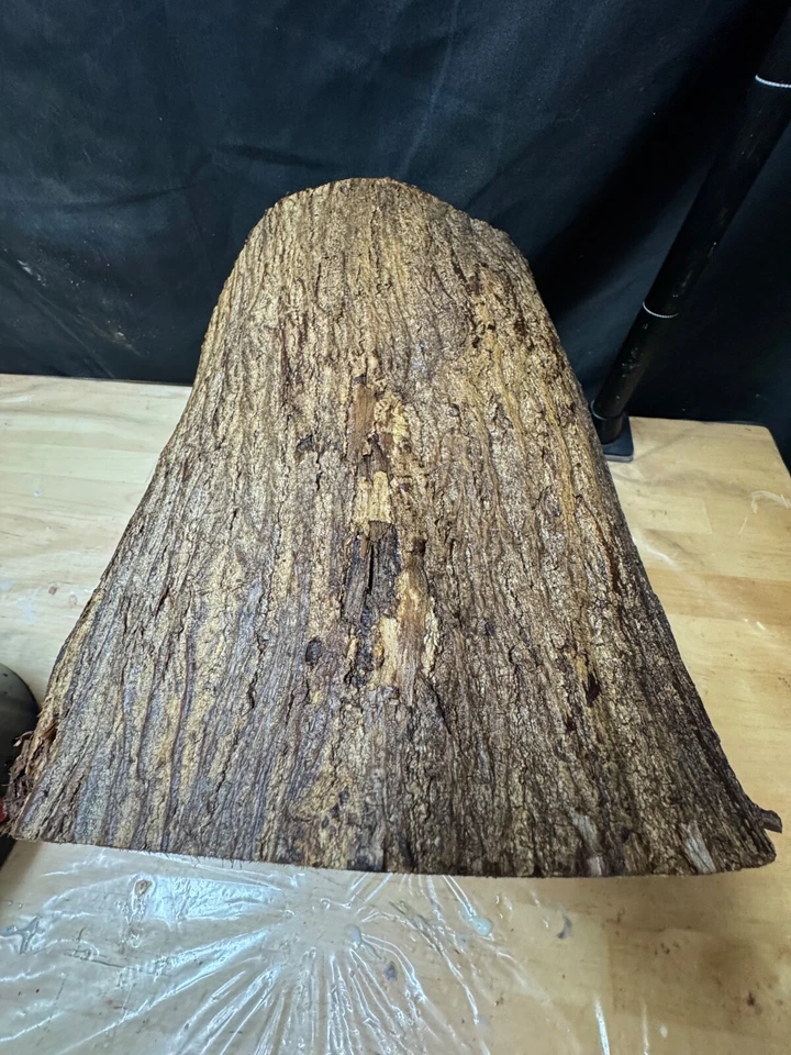 #614 TIGELAS DE MADEIRA KOU HAVAIANAS, ESCULTURA EM MADEIRA, ARTESANATO, CANETAS EM BRANCO, balanças de faca - Imagem 2 de 4