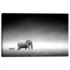 Cadre D'Impression Sur Toile Éléphant Et Zèbre