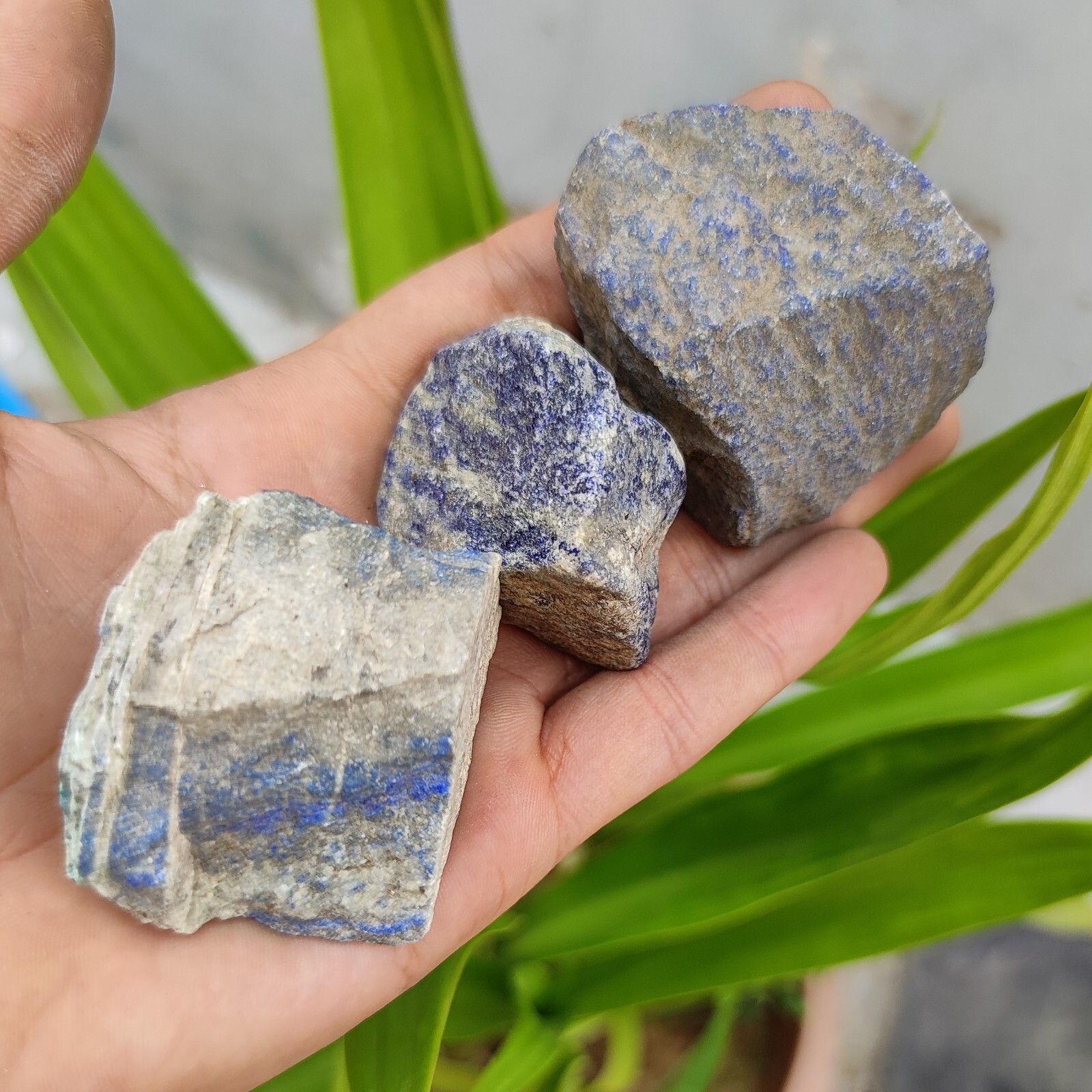 Natural 1432 Uncut Blue Lapis lazuli Rough Gemstone 3 Pcs Lot for ...