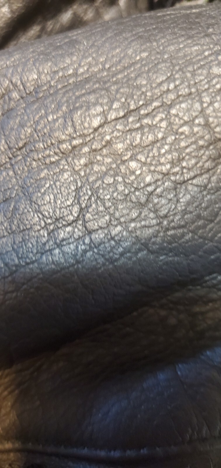 Picture 15 of 16