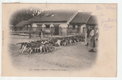 CPA Fontainebleau Les Chiens Au Chenil, Seine-et-Marne, France, Occasion