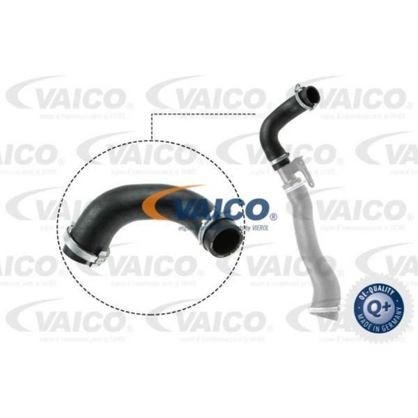 Vaico Ladeluftschlauch Passend FüR Ford Fusion Ju_ 1.6 Tdci Fiesta V Jh_ Jd_-image