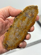 Coprolite Petrified Dino DoDo Slab Cabbing Lapidary Utah Combo Ship Avail