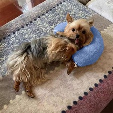 Calming Pillow for Dogs, Soft Puppy Bed Pillows Pets Neck Pillow,U-Shaped Pillow