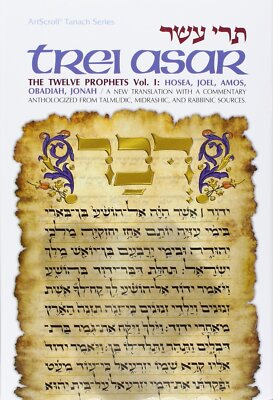 Trei Asar I / Twelve Prophets I: A NEW By Rabbi Matis Roberts