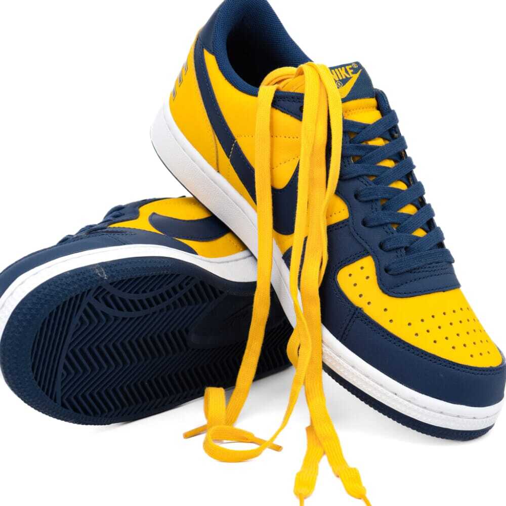 Nike Terminator Low OG University Gold/Navy-White FJ4206-700 Men's Size 8.5