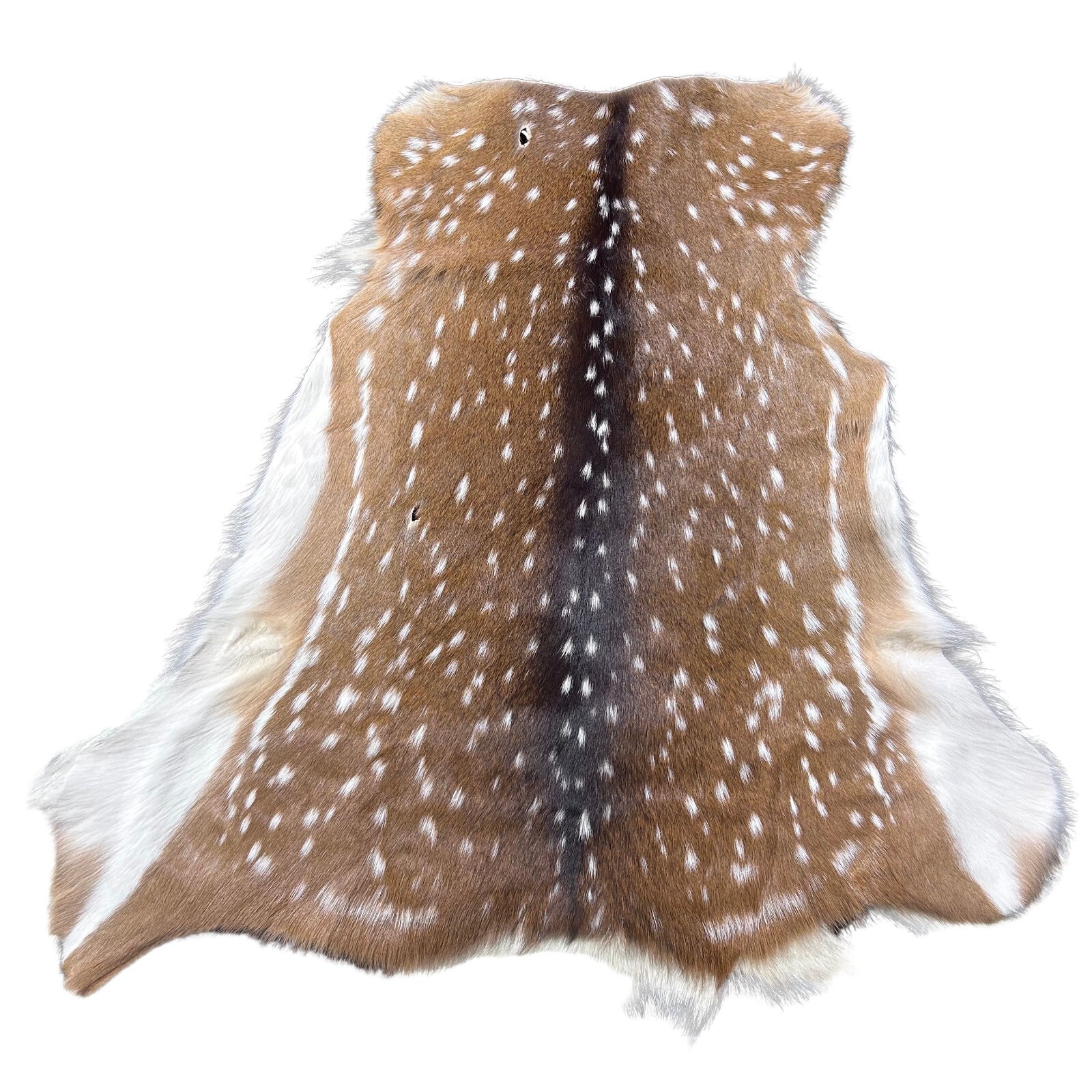 Axis Deer Hide - Rug Grade Chital Deer Hide - Real Axis Deer Skin ...