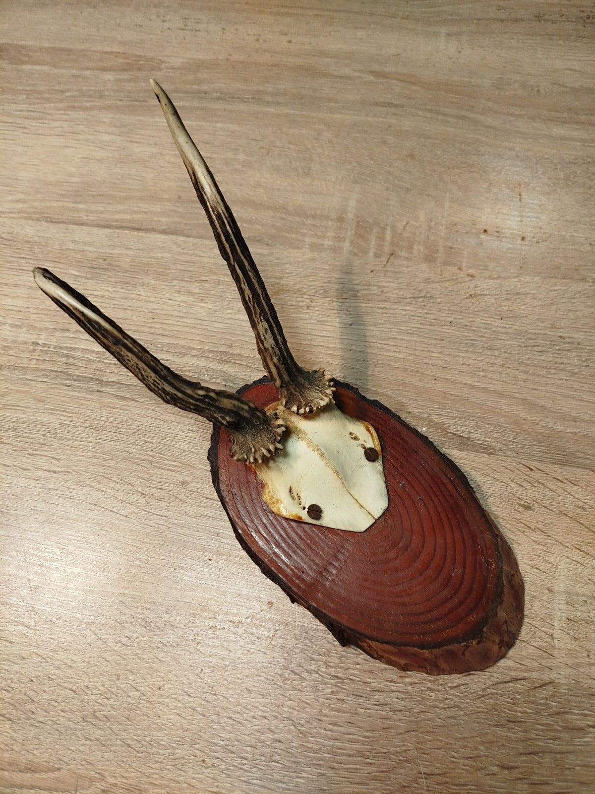 Foto 1 di 18