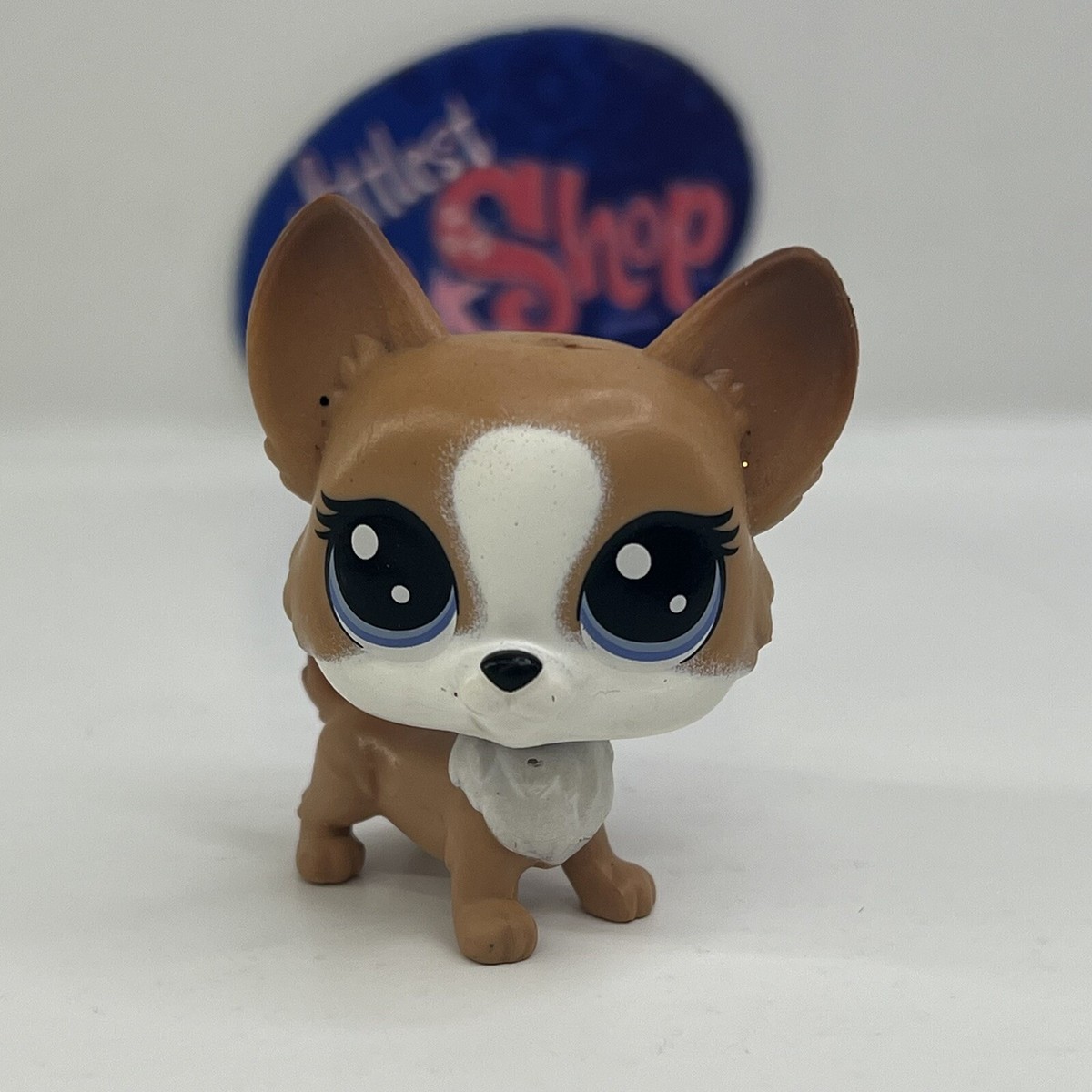 LITTLEST PET SHOP Chien CORGI #897 #1645 - Authentic LPS Hasbro -95 EUR 27,00 - FR