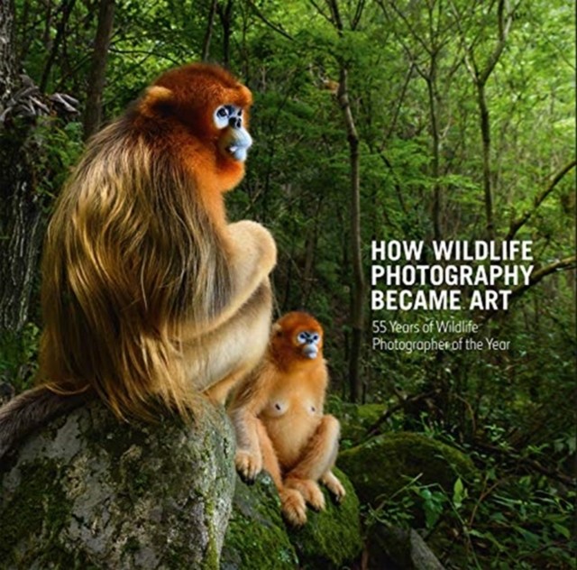 How Wildlife Photography Became Art by Rosamund Kidman Cox (Hardback Book)
