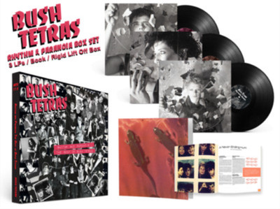Bush Tetras Rhythm and Paranoia: The Best of Bush Tetras (Vinyl) 12'' Album