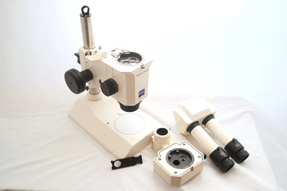 Zeiss Stemi SV6 ZOOM microscopio estéreo trinocular