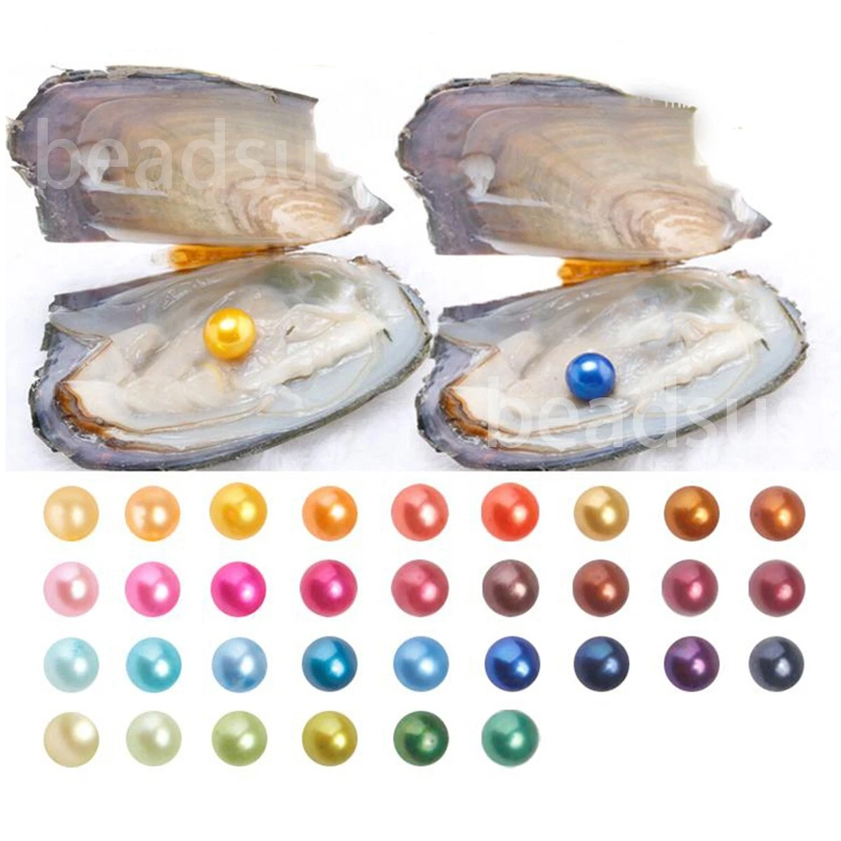 Natural Oyster Pearl Oysters 100/50pcs Pearls Inside Bulk Real