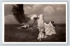 Military: German Feldpost Wittmund, 1940. Birds. RP.