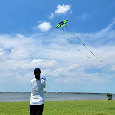 Beach Kites for Adults Large with Long Tail, 98 Inches Super Easy Flyer 3D Ra...