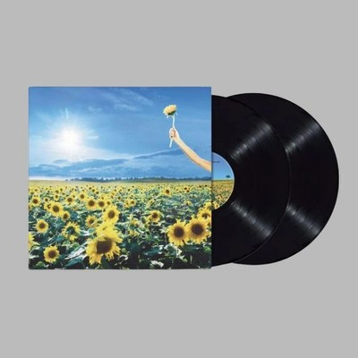 Stone Temple Pilots: Stone Temple Pilots: Thank You - Warner Music  - (LP / T)