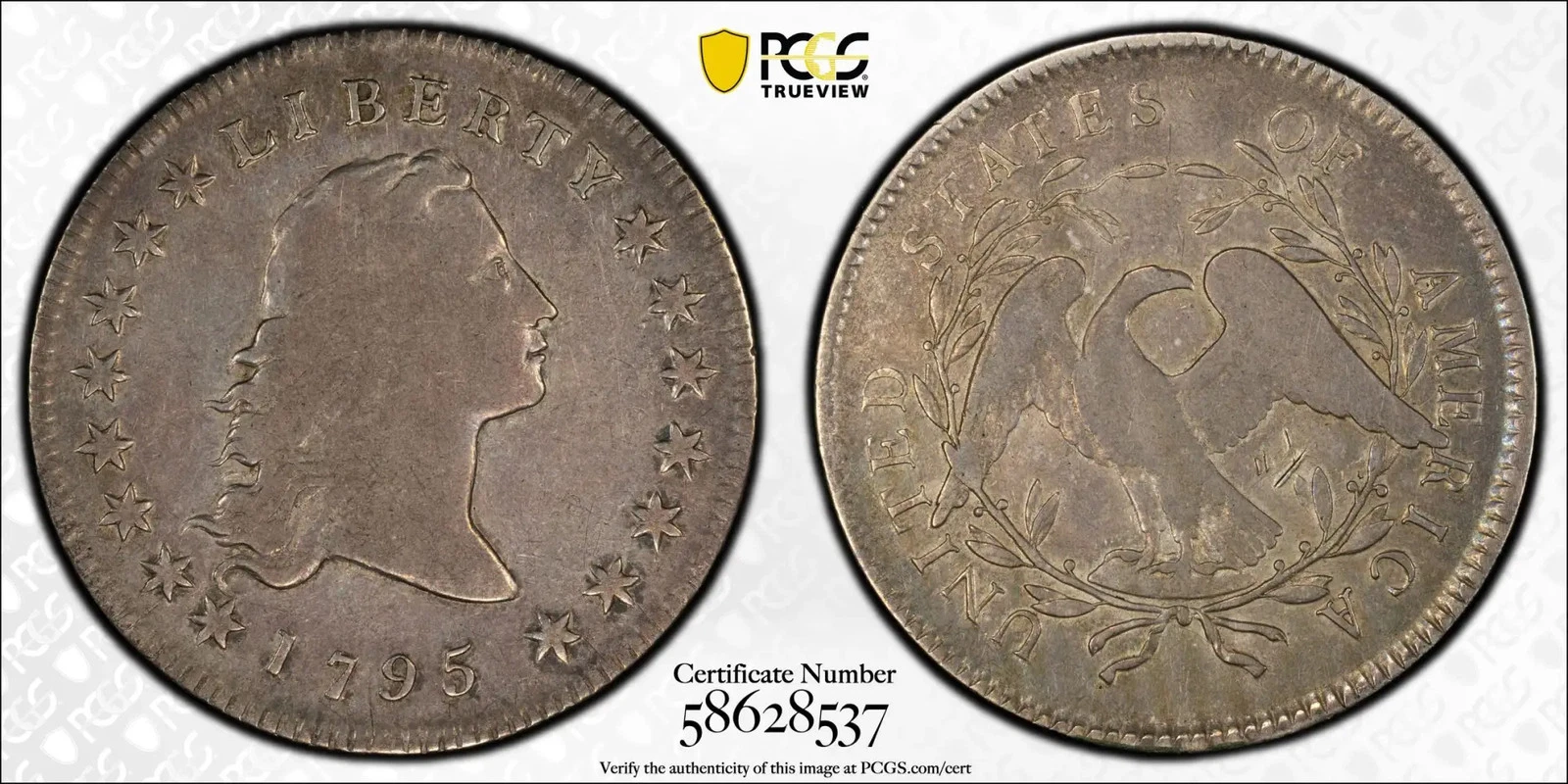 1795 P Dollar Flowing Hair PCGS,Fine Details (Scratch) Flowing Hair, 2 Leaves