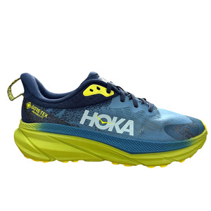 Hoka Challenger Atr 6 GTX | eBay