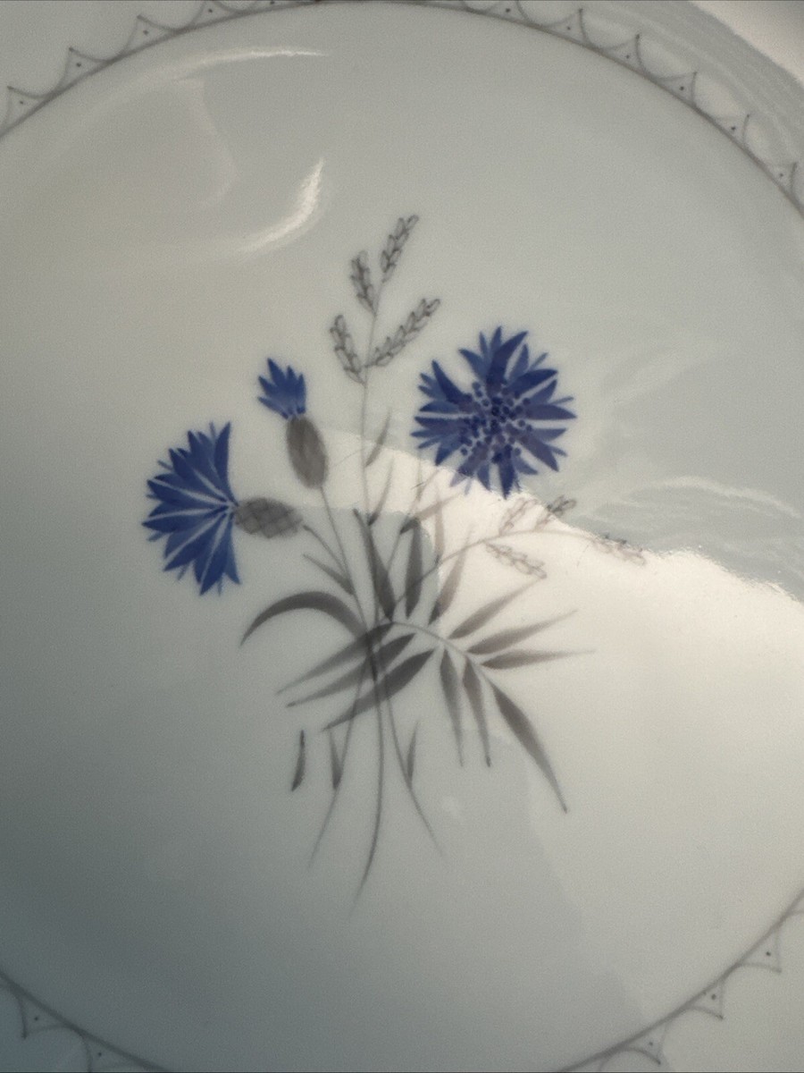 VTG BING & GRONDAHL CORNFLOWER BLUE 11 Piece Place Setting Denmark