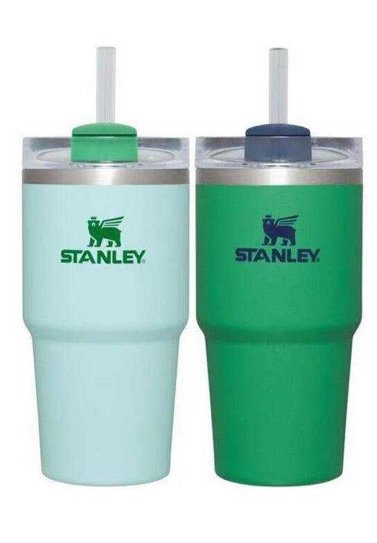 Stanley 20oz 2pk Tumblers Kelly Green / Watercolor Blue NIB Ready