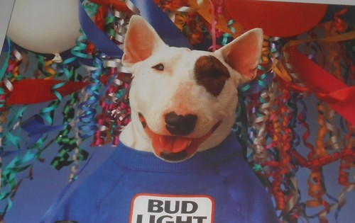 Spuds MacKenzie College Hall of Fame 1987 Poster 27x19.75 Budlight Beer - Picture 2 of 2