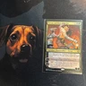 Mtg Tyvar, Jubilant Brawler - Promo Pack Phyrexia All Will Be One + Bonus Foils