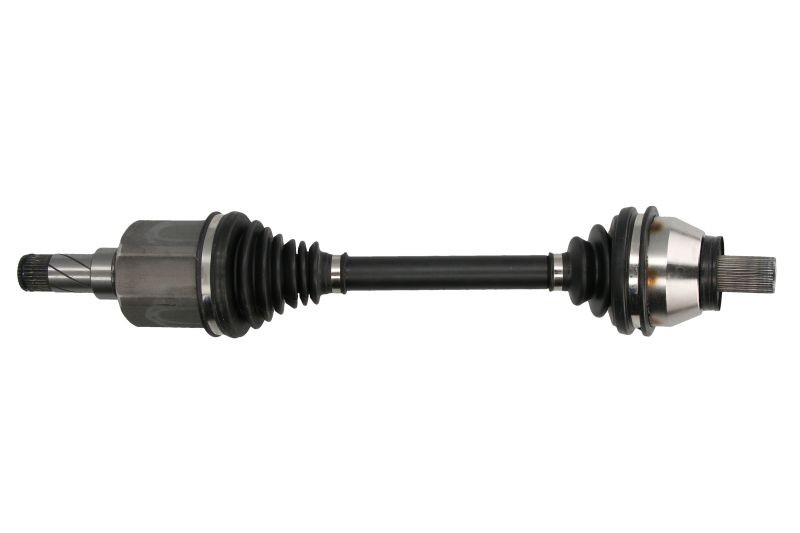 Picture 1