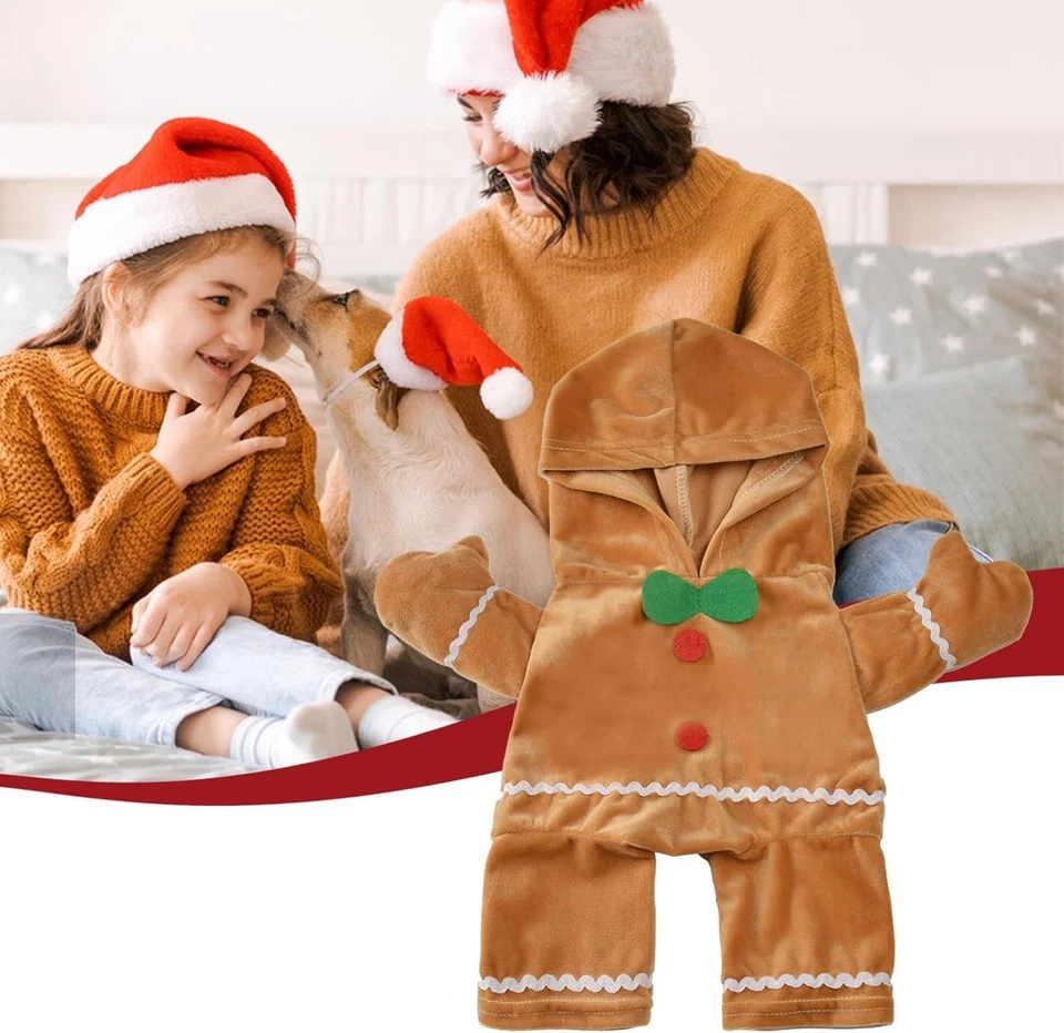 Pet dogs and cats stand up for Christmas and transform into cute gingerbread men - Image 3 of 4