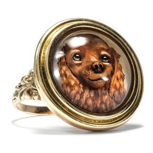 cocker spaniel ring