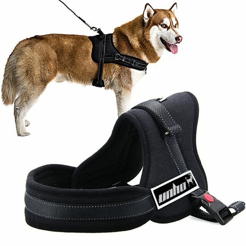 mihachi dog harness