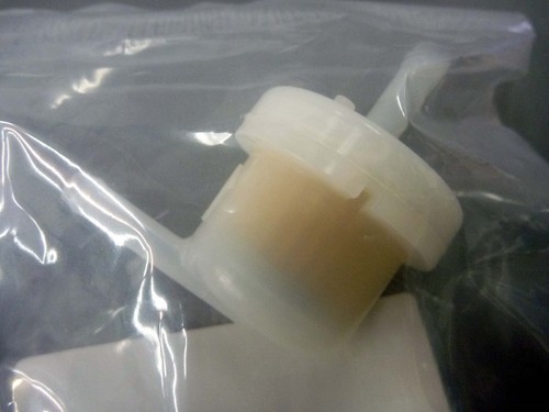 OEM Brand New Honda Genuine Parts Fuel Pump & Filter CHF50A NPS50 NPS50S Ruckus - Picture 10 of 11