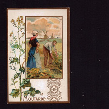 RATIONAL CHOCOLATE CHROME IMAGE Pharmacists / MUSTARD Cultivation & WINDMILL