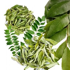 Feuilles/feuilles de curry bio séchées naturelles pures qualité supérieure 28 g