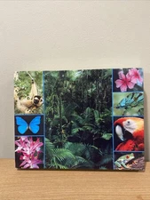 Springbok THE FRAGILE RAIN FOREST 500 Pc PZL 4476 Complete!