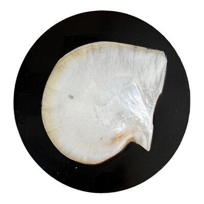 MOTHER OF PEARL IN BLACK RESIN DESK TIDY CATCHALL VIDE POCHE ARTIBUS BUSSETO