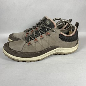 ecco receptor brown